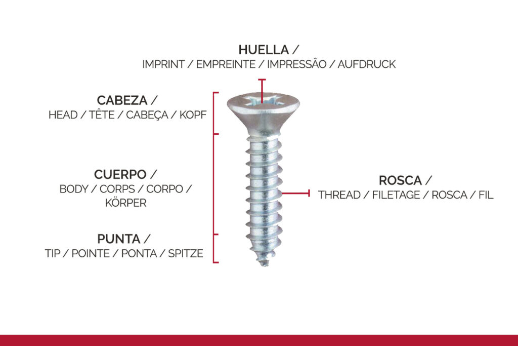 Las Partes De Un Tornillo